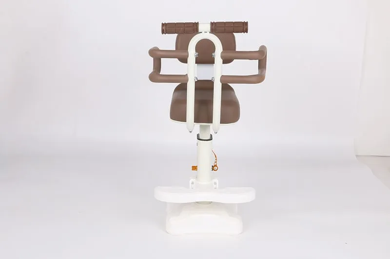 Ghế trẻ em xe đạp điện