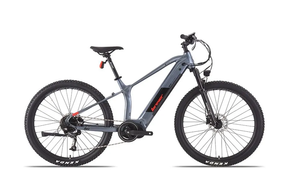 Xe đạp điện cho người lớn