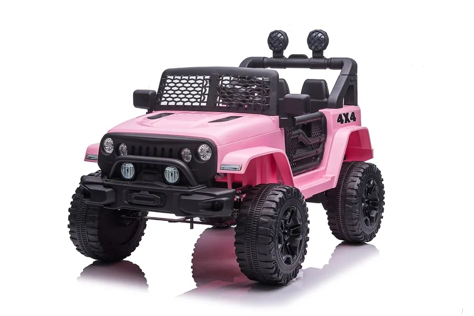 Đi xe điều khiển từ xa trên ô tô