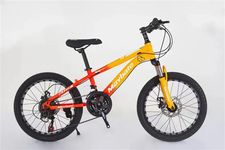 Xe đạp tuổi teen