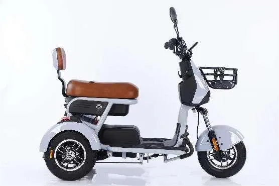 Xe đạp điện ba bánh