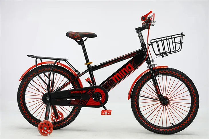Xe đạp thanh niên có bánh răng